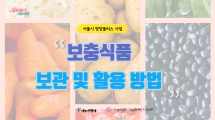 [센터자료] 서울시 영양플러스 사업 - 